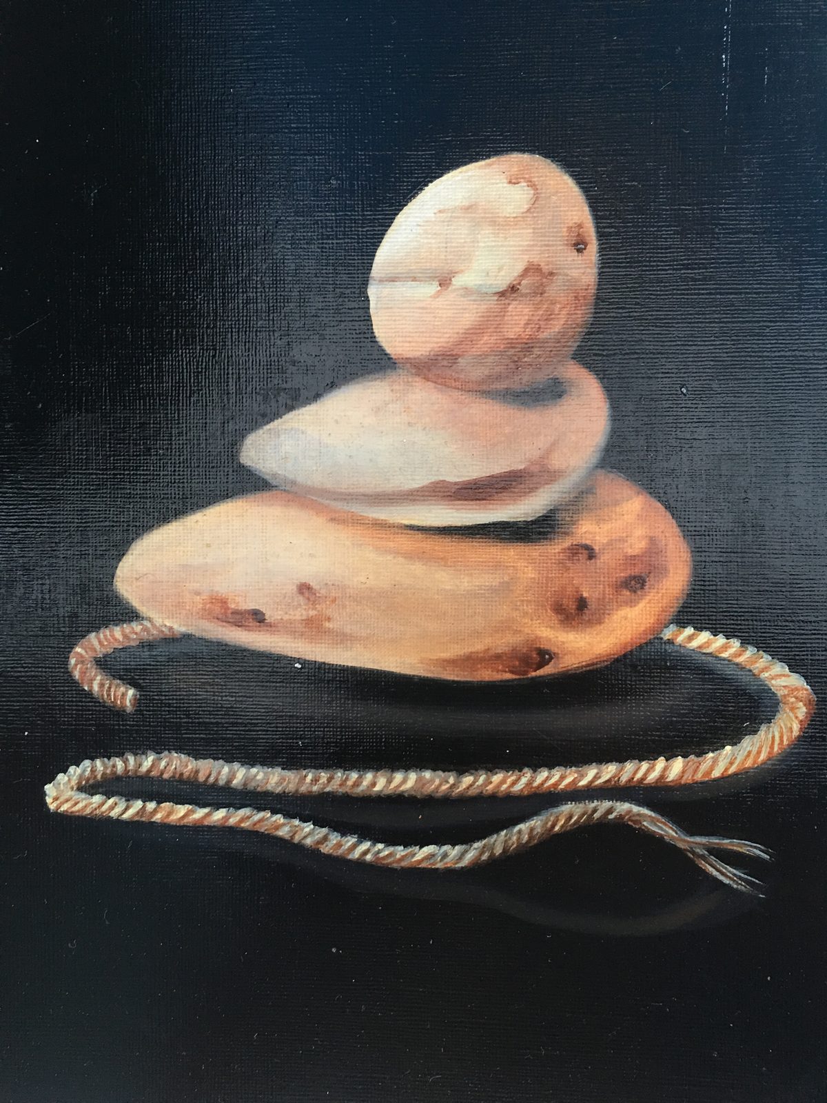 Watercolor of seed pods with a coiled rope on black