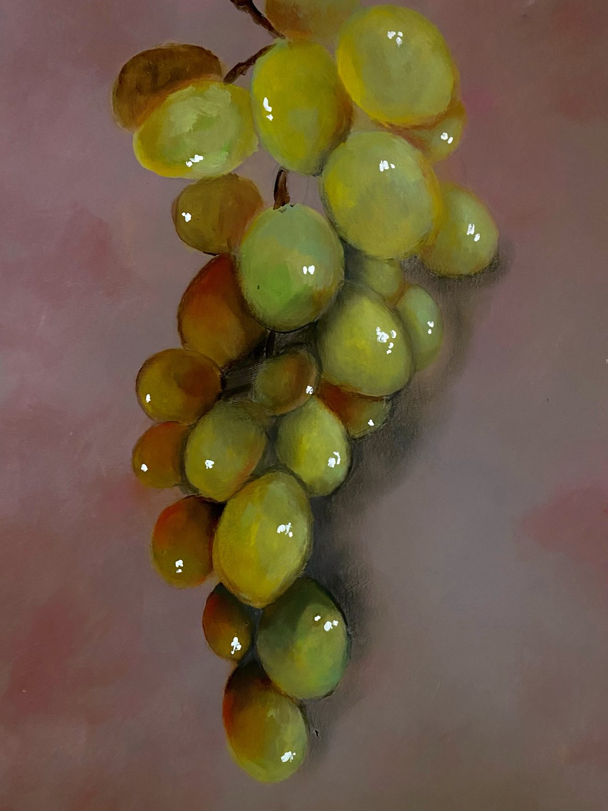 Botanical watercolor of green grapes