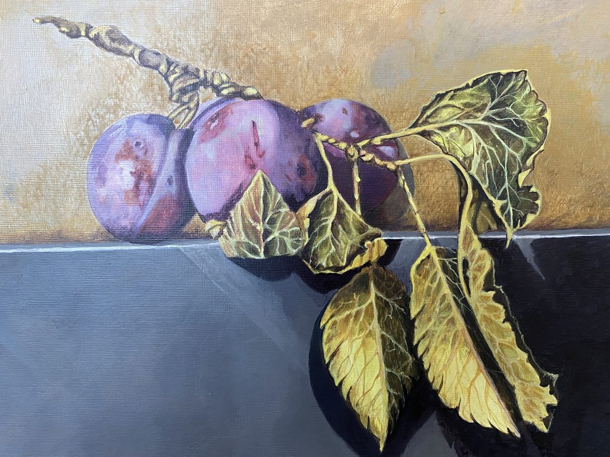 Watercolor of plums on a branch against deep blue