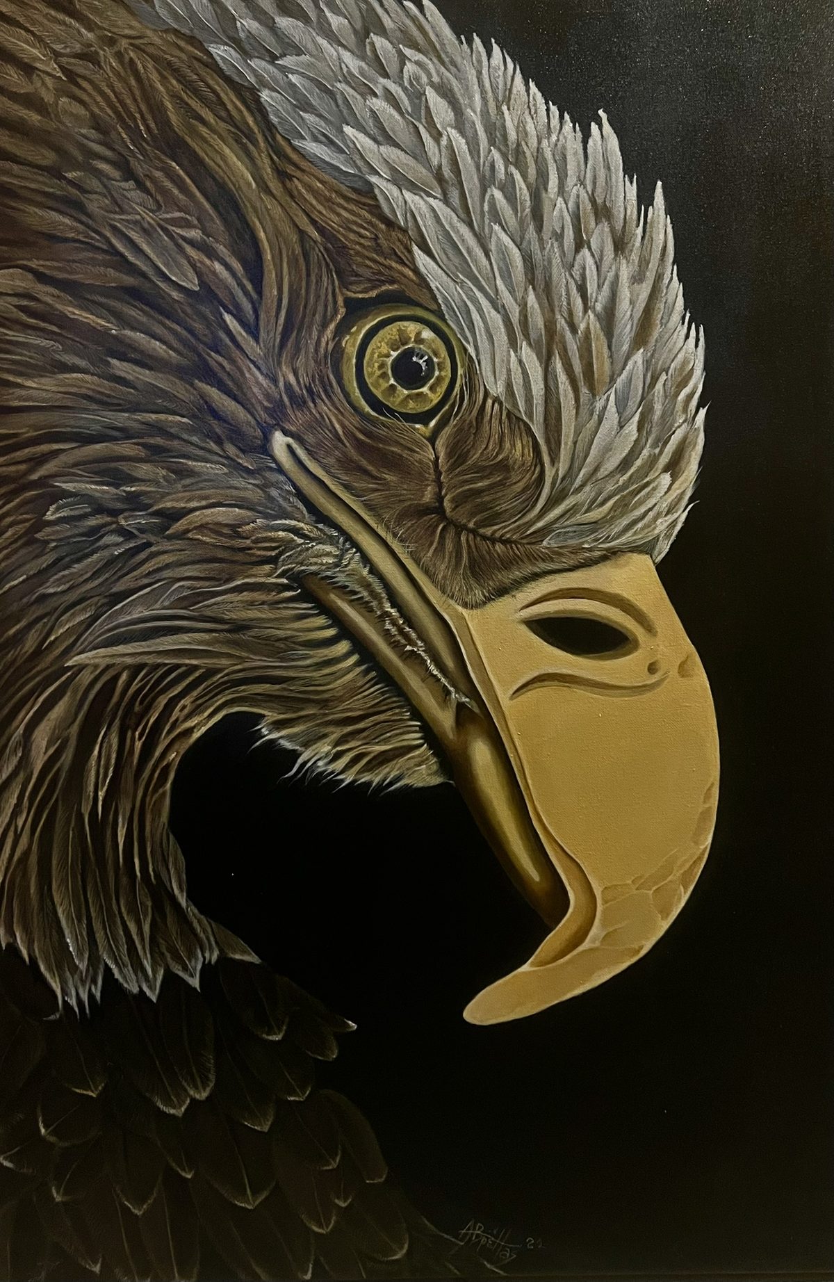 An acrylic portrait of an eagle, donated by the artist to the Municipality of Lavrio, Greece, and held in the Public Library of Lavrio.
