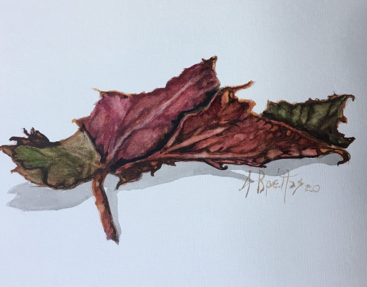 Watercolor study of red autumn leaves