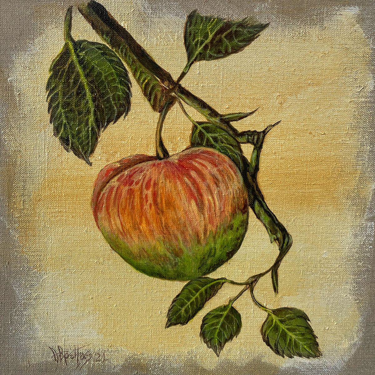 Watercolor of a red-green apple on the branch