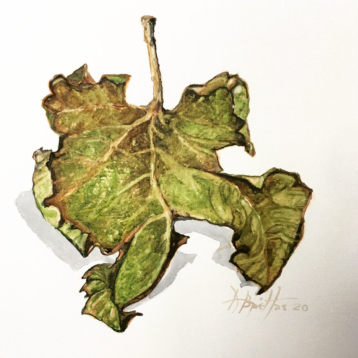 Botanical watercolor of an autumn maple leaf