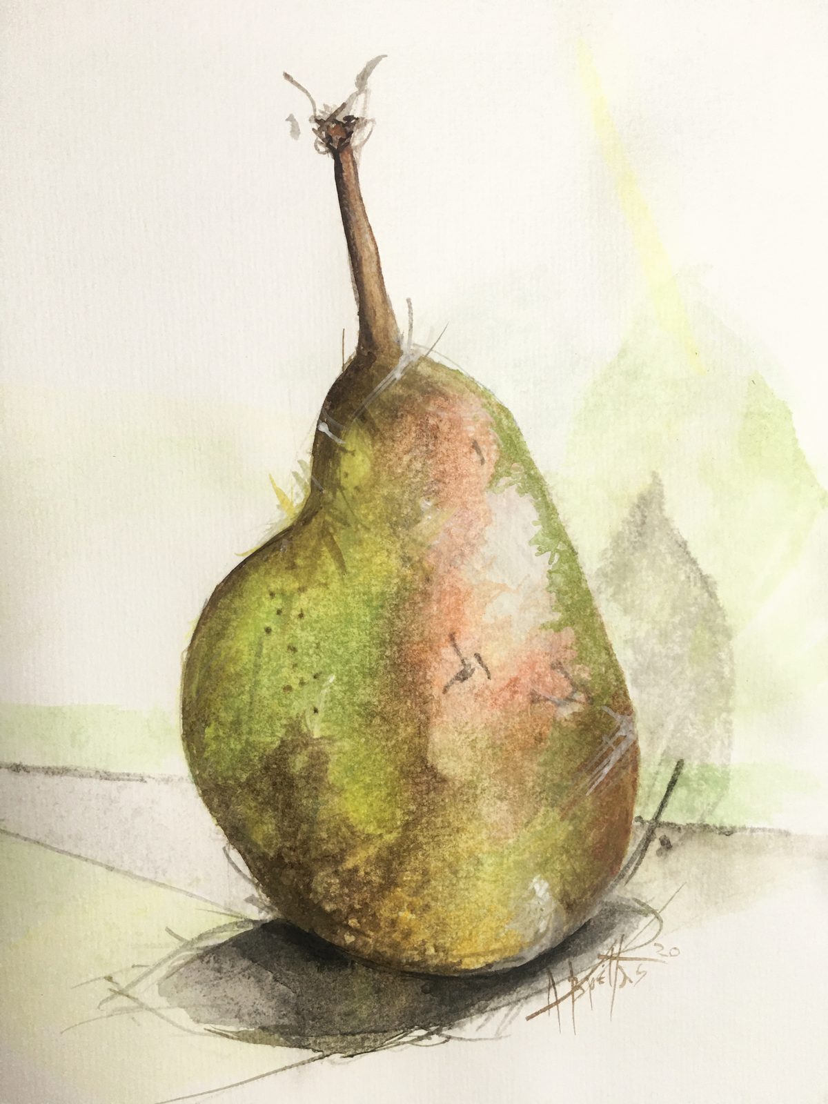 Botanical watercolor of a single pear